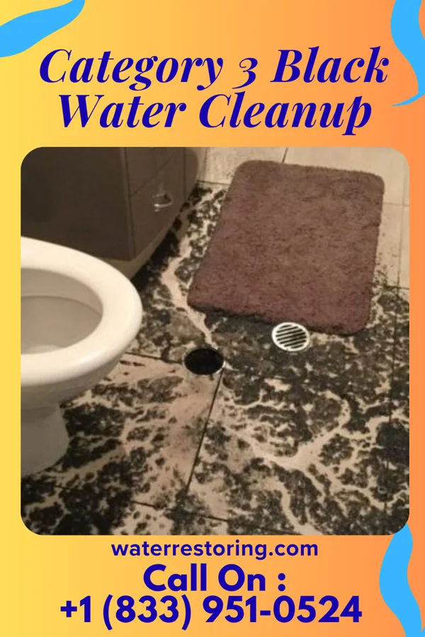 Category 3 Black Water Cleanup in Sparta, MO
