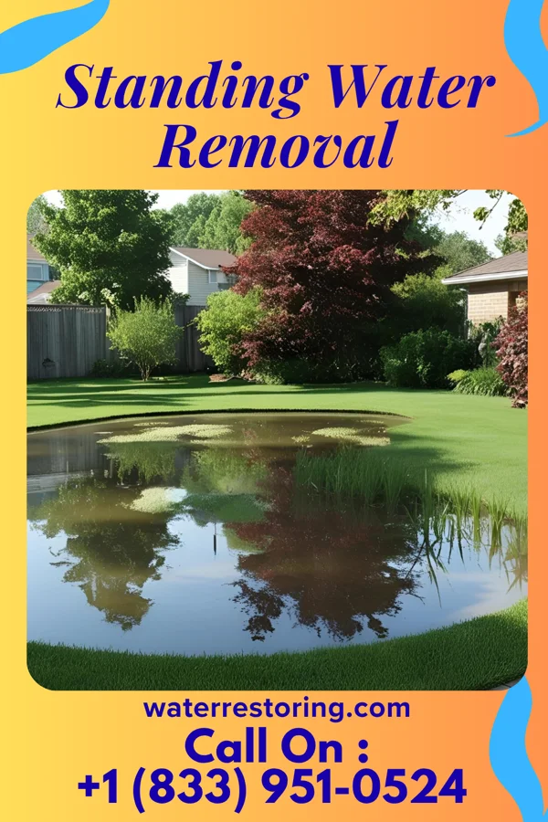 Standing Water Removal in Sparta, MO